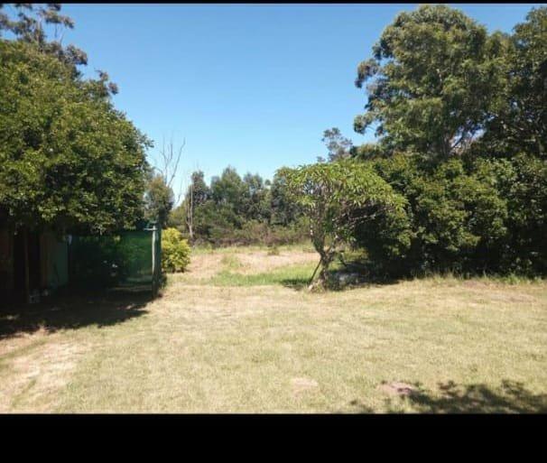 0 Bedroom Property for Sale in Bathurst Eastern Cape